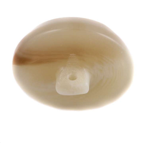 Knopf Hornimitat KM-66-beige