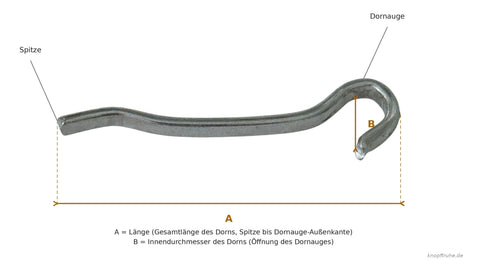 Dorn für Gürtelschnalle austauschen – Maß nehmen & Ersatzdorn einsetzen