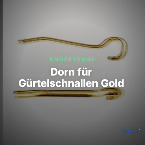 Dorn für Gürtelschnallen Gold – Clean Showcase