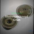 Steinnussknopf Grün – Steinnussknopf STN-130 – Clean Showcase