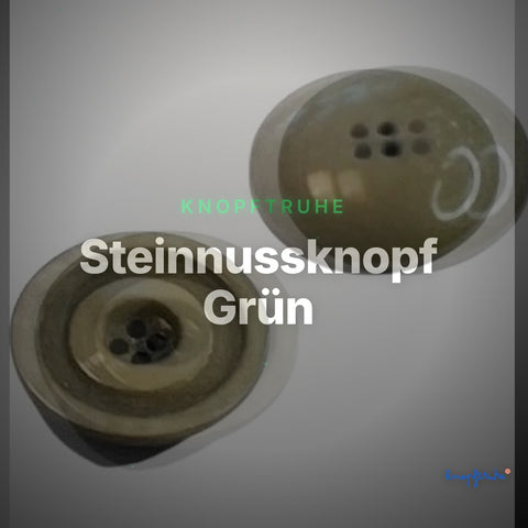 Steinnussknopf Grün – Steinnussknopf STN-130 – Clean Showcase