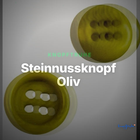 Steinnussknopf Oliv – Steinnussknopf STN-43 – Clean Showcase