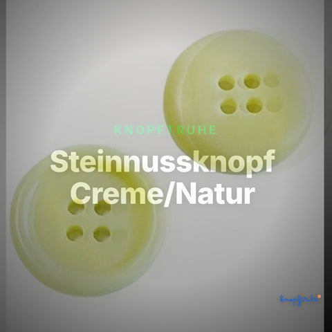 Steinnussknopf Creme/Natur – Steinnussknopf STN-43 – Clean Showcase