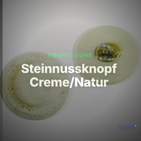 Steinnussknopf Creme/Natur – Steinnusseknopf STN-131 – Clean Showcase