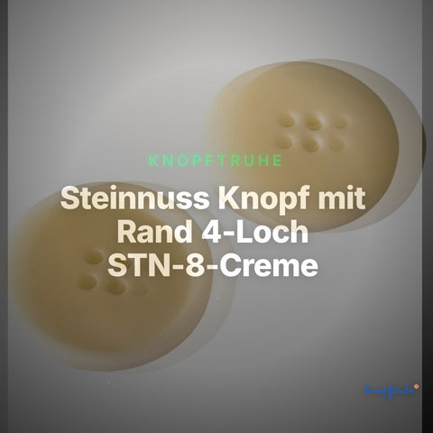 Steinnuss Knopf mit Rand 4-Loch STN-8-Creme – Clean Showcase