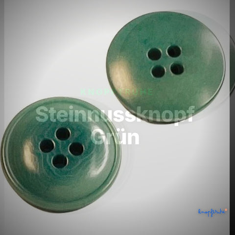 Steinnussknopf Grün – Steinnussknopf STN-2 – Clean Showcase
