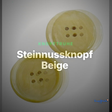 Steinnussknopf Beige – Steinnussknopf STN-43 – Clean Showcase