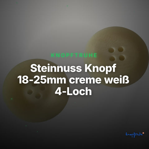 Steinnuss Knopf 18-25mm creme weiß 4-Loch – Clean Showcase