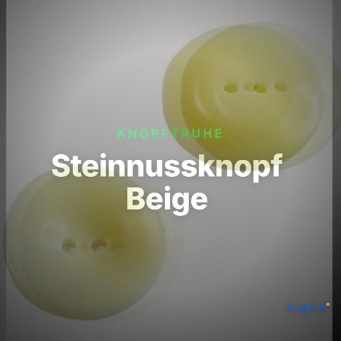 Steinnussknopf Beige – Steinnussknopf STN-1 – Clean Showcase