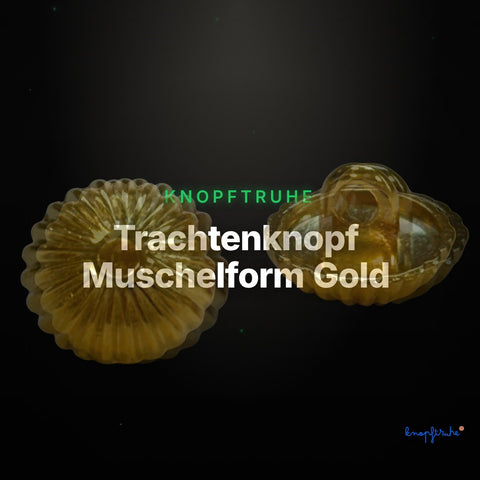 Trachtenknopf Muschelform Gold – Ösenknopf – TK-58 – Clean Showcase