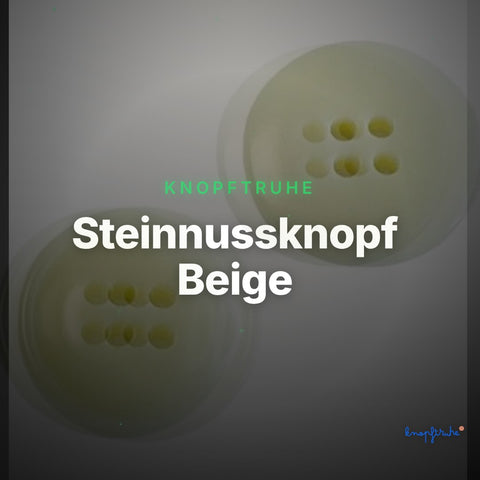 Steinnussknopf Beige – Steinnussknopf STN-2 – Clean Showcase