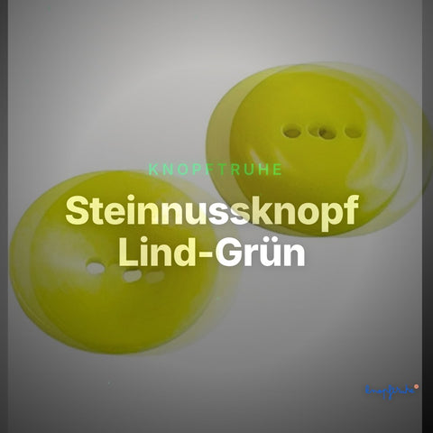 Steinnussknopf Lind-Grün – Steinnussknopf STN-1 – Clean Showcase