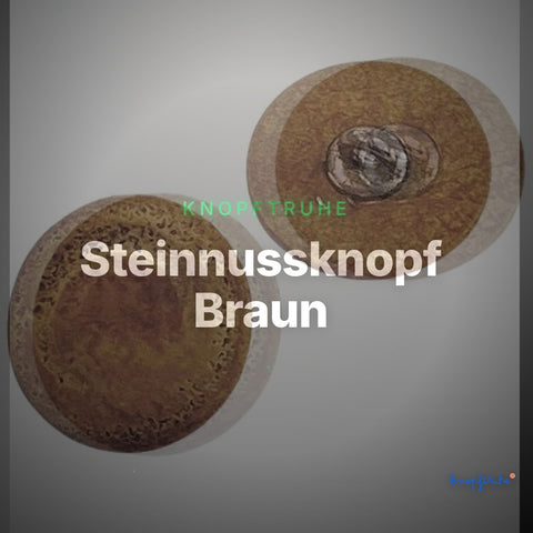 Steinnussknopf Braun – Steinnuss STN-131 – Clean Showcase